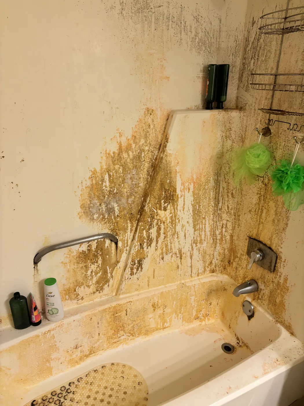 Bathroom before a Bee Clean Solutions deep cleaning in Lexington KY